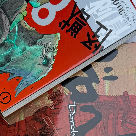 MANGA Comic/Booklet Protection Sleeves, ARCHIVE STANDARD, Acid Free